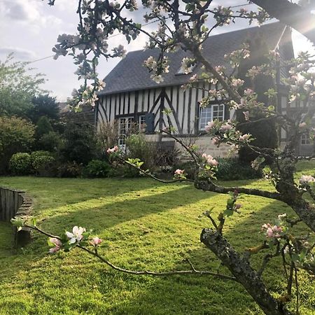 Gite 'Les Matins Calmes ' Cheffreville-Tonnencourt ภายนอก รูปภาพ