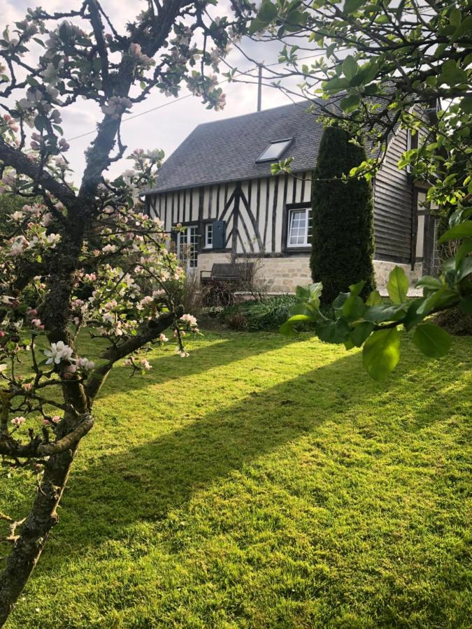 Gite 'Les Matins Calmes ' Cheffreville-Tonnencourt ภายนอก รูปภาพ