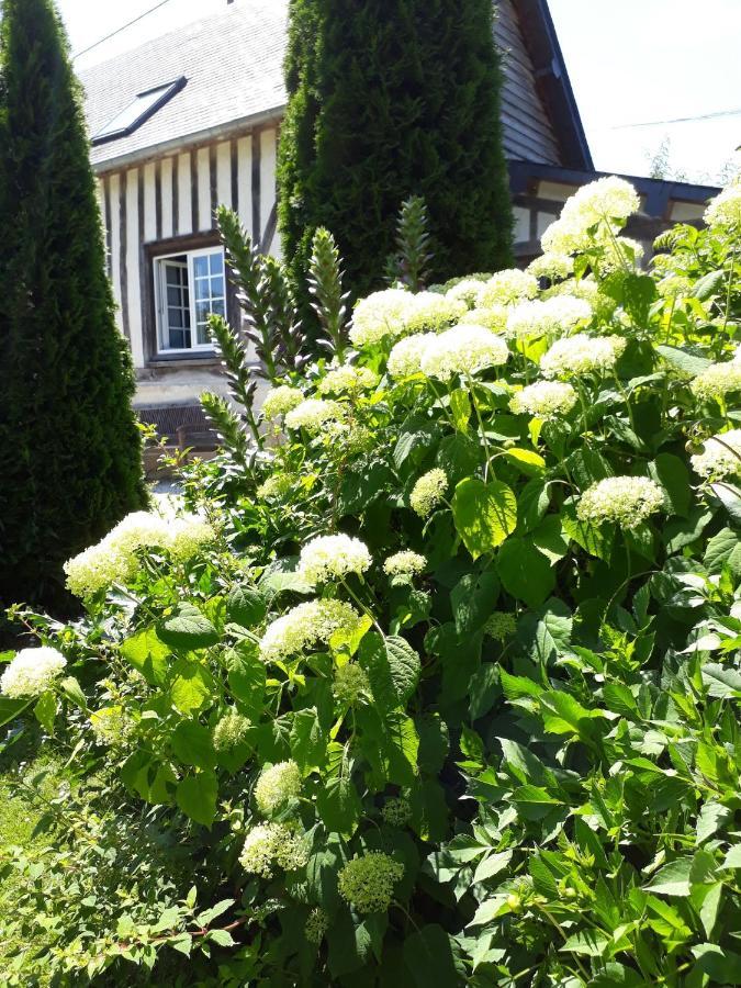 Gite 'Les Matins Calmes ' Cheffreville-Tonnencourt ภายนอก รูปภาพ
